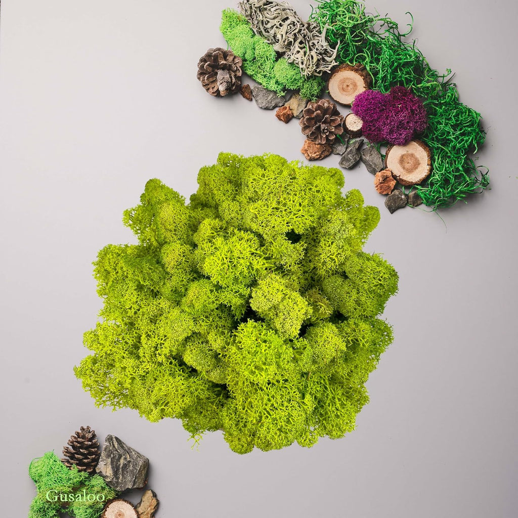 Preserved 1.1lb Moss Artificial Moss Natural Fresh Green Moss for Craft Handicraft Arts Floral Project Wall Decor Table Decor Wedding Centerpieces Garden Terrariums Decoration