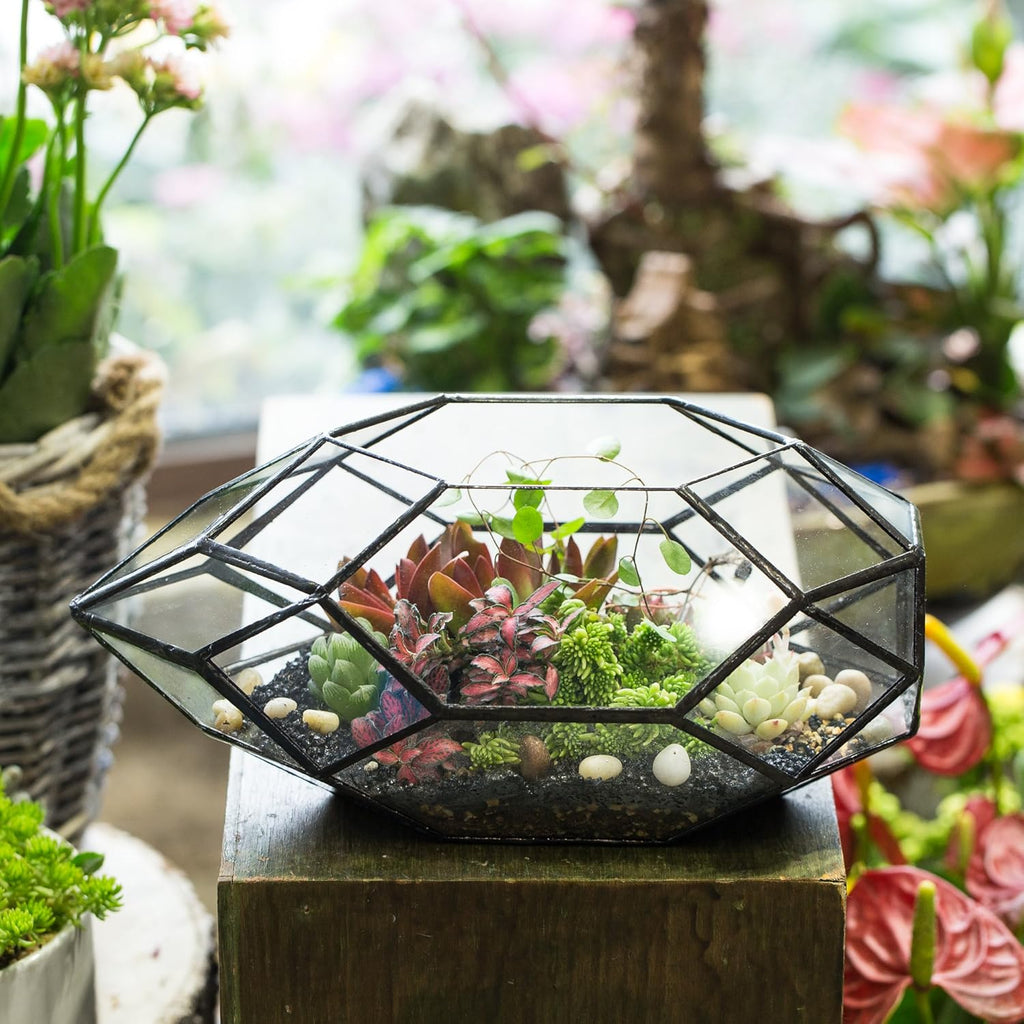 NCYP 6.5 x 5.9 x 11 Inches Geometric Glass Terrarium for Succulent, Air Plants - Large Irregular Clear Planter Pot, Indoor Tabletop Centerpiece, Wedding Garden Decor, Black (No Plants)