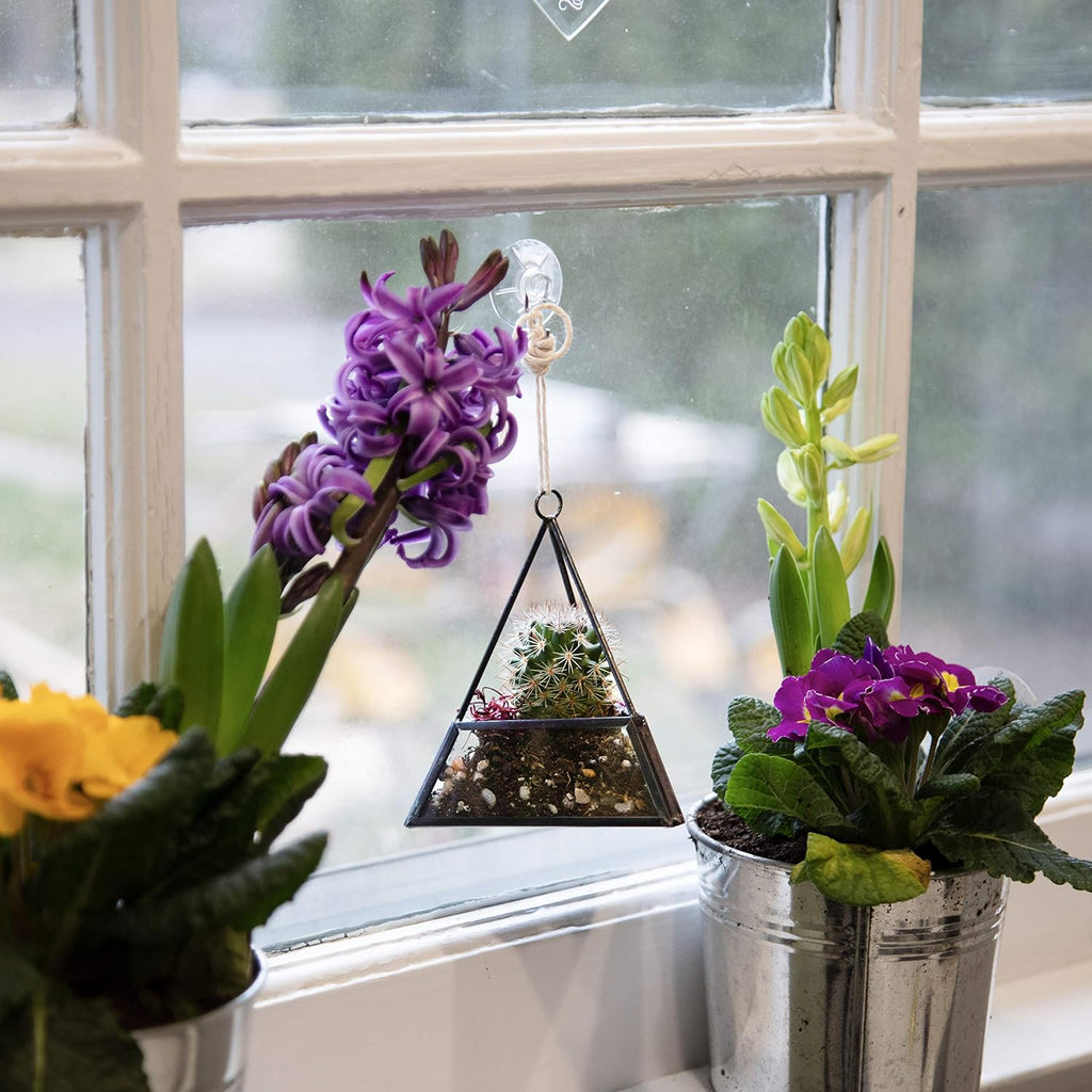 D'Eco Glass Mini Geometric Plant Terrariums, 3Pk- Hanging Triangle, House & Prism Planters for Home Decor - Fill w/Succulents, Holiday Decorations, Mini Trees & Ornaments- Xmas Gift for Plant Lovers