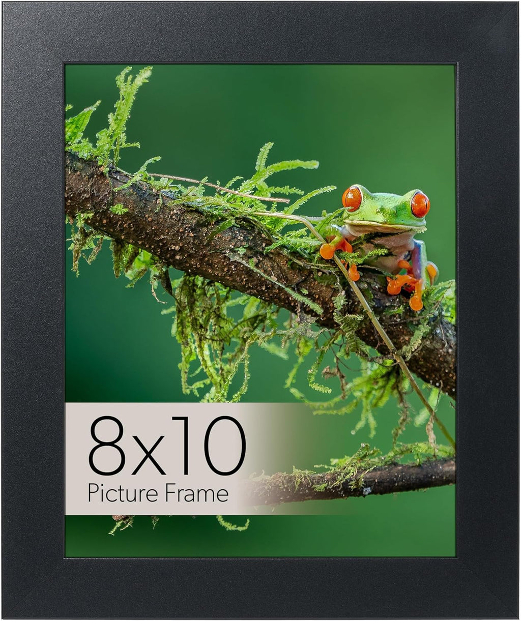 wallsthatspeak Elements 8x10 Picture Frame with Easel for Shelf Décor, Black Frame Displays Vertically or Horizontally, Includes High Clarity Glass