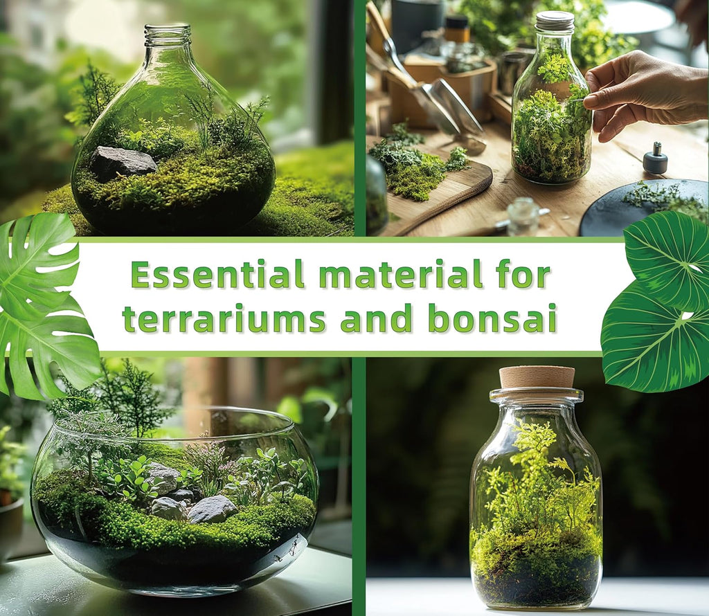Live Moss for Reptiles - Terrarium Moss for Reptiles Peat Moss for Reptiles Habitat Bedding Moss for Snakes Turtle Frog Gecko and Other Reptiles Substrate 50 Square inches Live Moss