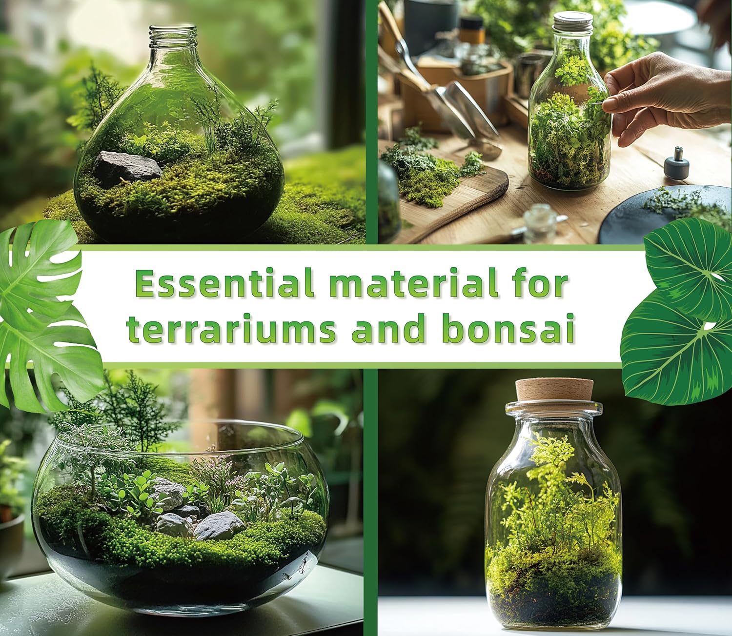Live Moss for Reptiles - Terrarium Moss for Reptiles Peat Moss for Reptiles Habitat Bedding Moss for Snakes Turtle Frog Gecko and Other Reptiles Substrate 50 Square inches Live Moss