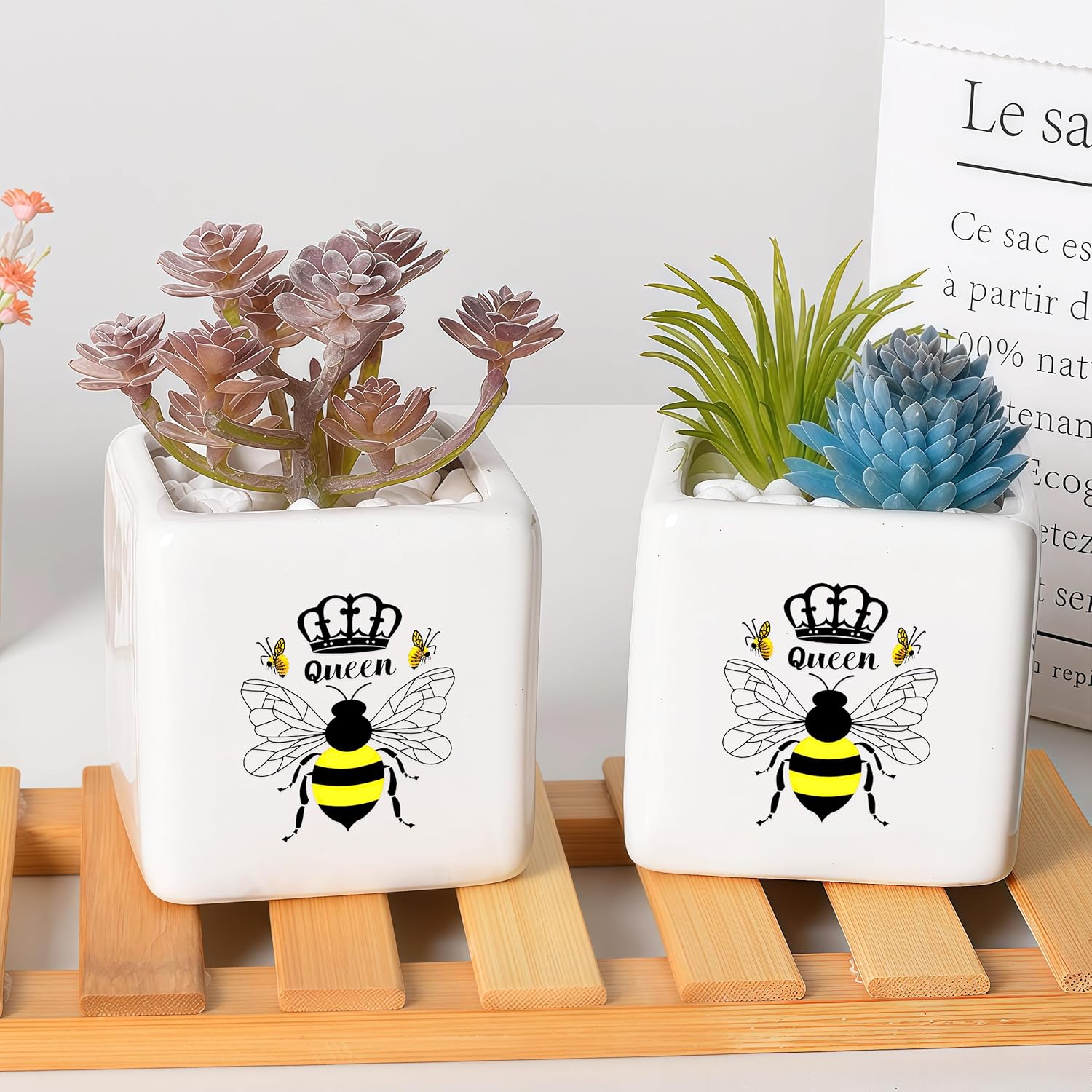 Bee Succulent Planter Flower Plant Pot Small, Gifts for Women Teens Girls Kids, Bee Lovers Themed Stuff Accessories Things Decor Merch, Home Office Table Desk Decoration!