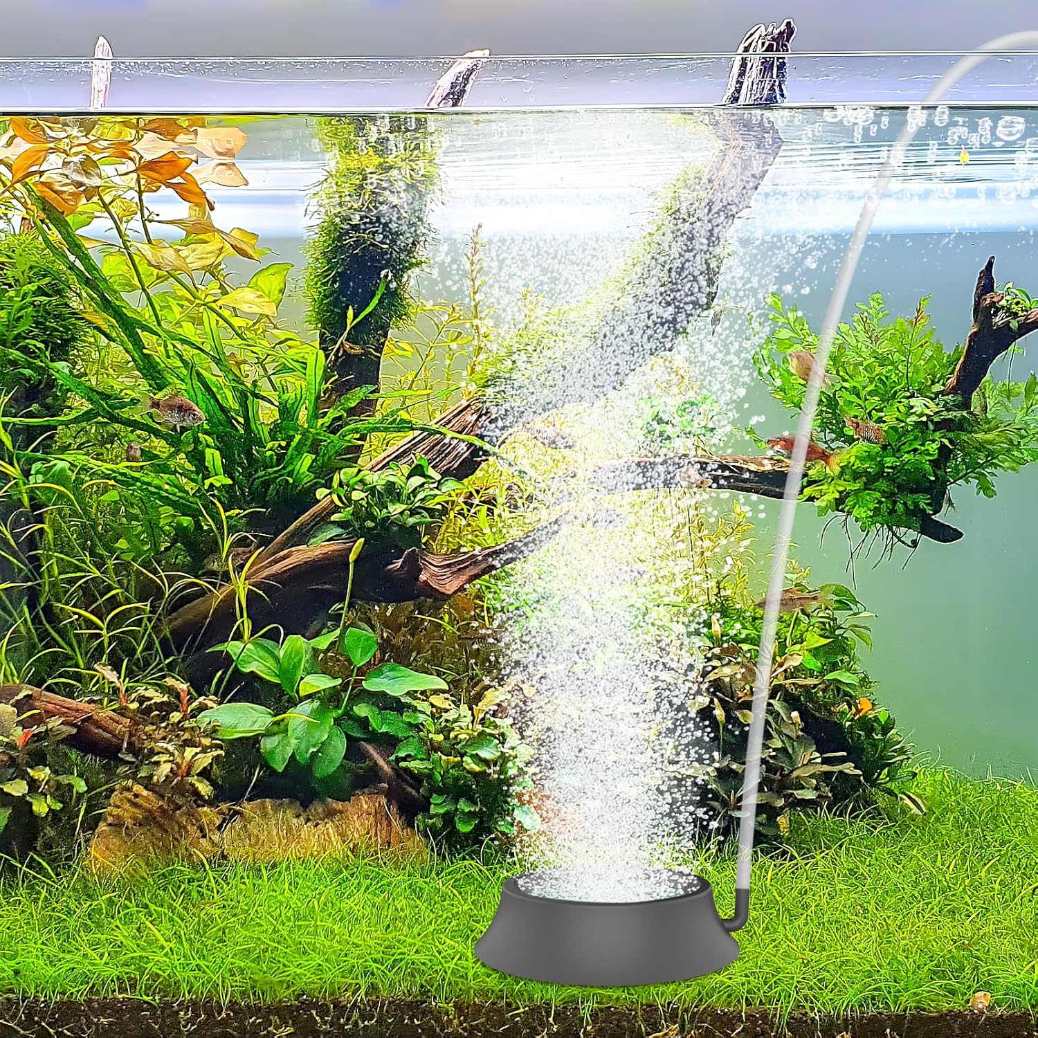 hygger Aquarium Air Stone, Fish Tank Bubbler Aerator with Stainless Steel Base, Oxygen Diffuser for Nano Air Pumps Hydroponics Small Ponds and Fish Tanks