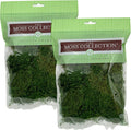 Preserved Sheet Moss - Premium Decorative Moss for Crafts, Home Décor, Art, Design & DIY Projects - Real Moss- Non-Toxic - USA-Made- (2-Pack Small, Green)