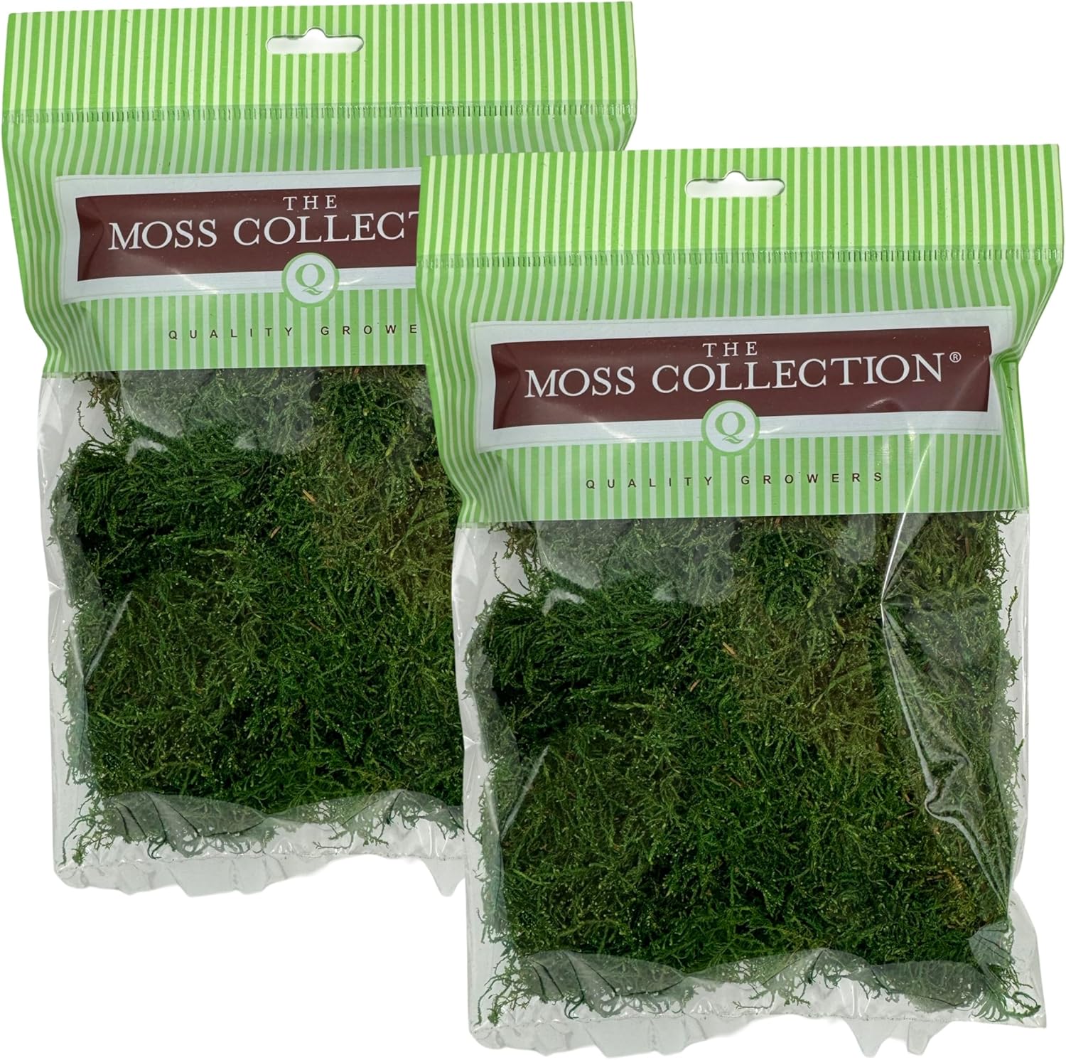 Preserved Sheet Moss - Premium Decorative Moss for Crafts, Home Décor, Art, Design & DIY Projects - Real Moss- Non-Toxic - USA-Made- (2-Pack Small, Green)