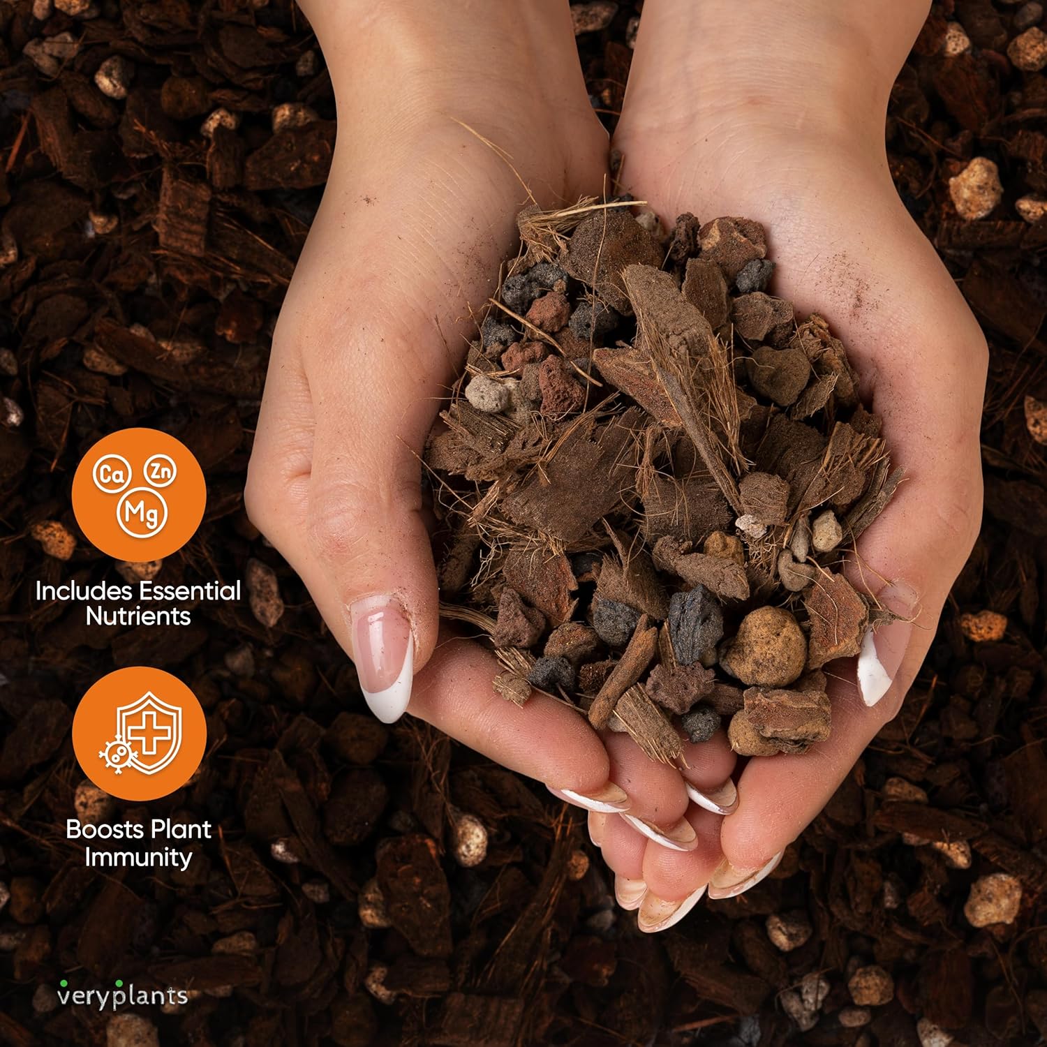 Molly's Orchid Potting Mix - Premium Gritty Soilless Orchid Mix - Chunky High Drainage vs Standard Potting Soil for Indoor Plants - Contains Bark, Coco Chips, Akadama, Pumice, Lava Rock 11 Liters