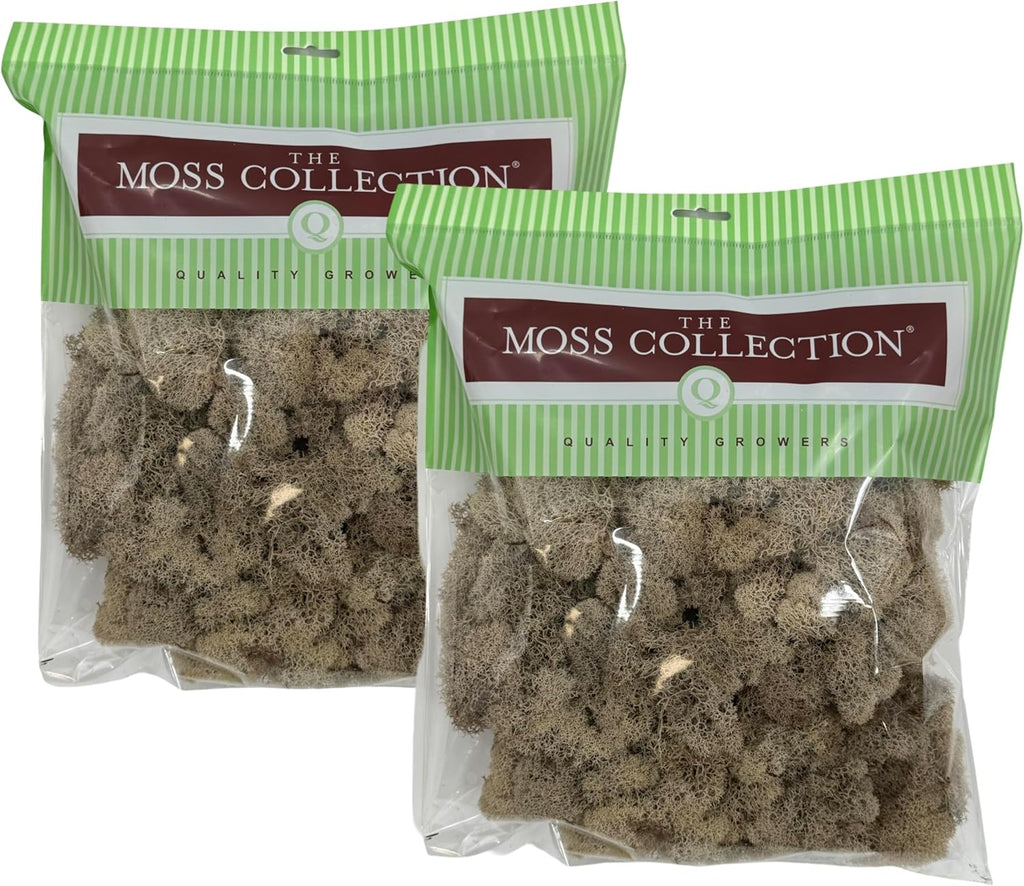 Quality Growers - Preserved Reindeer Moss - Moss for Crafts, Home Decor, Art, Design & DIY Projects - Non-Toxic - USA Made (Natural, Medium, 2-Pack)