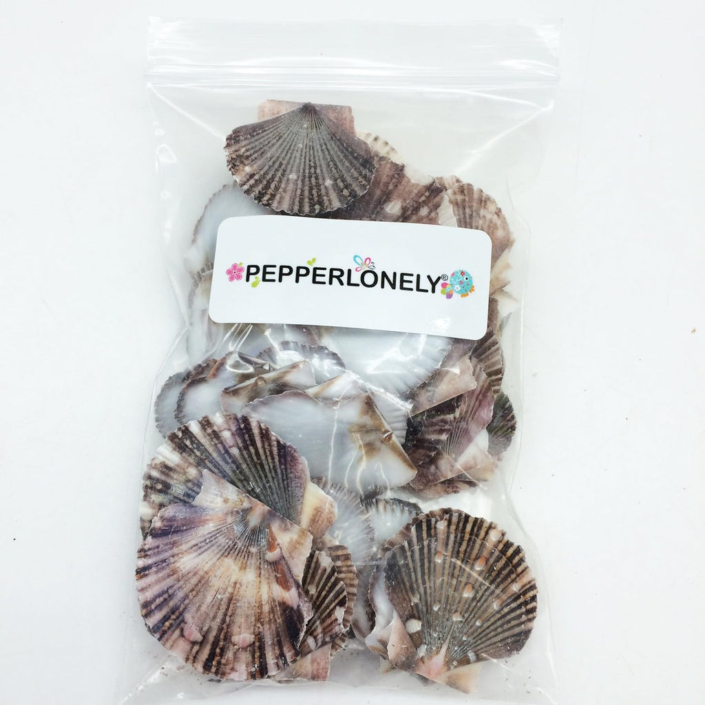 PEPPERLONELY Baby Flat Scallop Sea Shells, 4 OZ Apprx. 60+ PC Shells, 1 Inch ~ 1-1/2 Inch