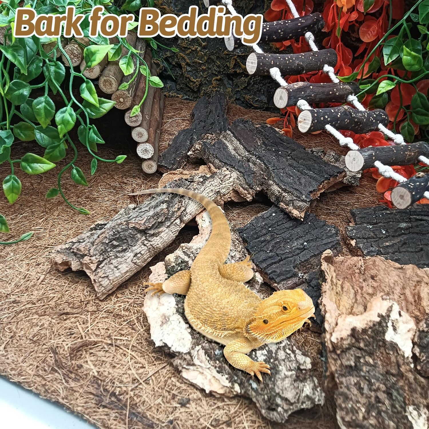 BNOSDM Reptile Cork Bark Substrate 10oz Tortoise Bedding for Habitat Natural Flat Cork Wood Bulk Terrarium Reusable Champagne Bark for Lizard, Crested Gecko, Spider, Chameleon, Ball Python, Tree Frog
