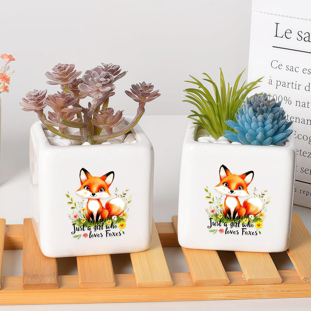 Fox Succulent Planter Flower Plant Pot Small, Gifts for Women Teens Girls Kids, Fox Lovers Themed Stuff Accessories Things Decor Merch, Home Office Table Desk Decoration!