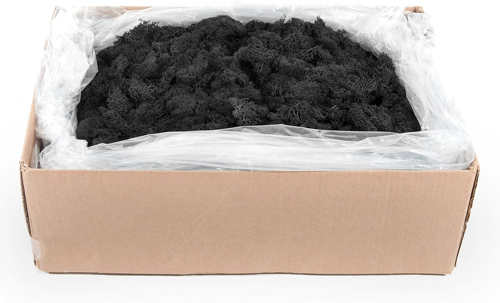 SuperMoss (21790 Reindeer Moss – Soft Preserved Moss for Home Decor, Crafts, Terrariums, Floral Design, and Wedding Decorations, 2,588 cu in, Black