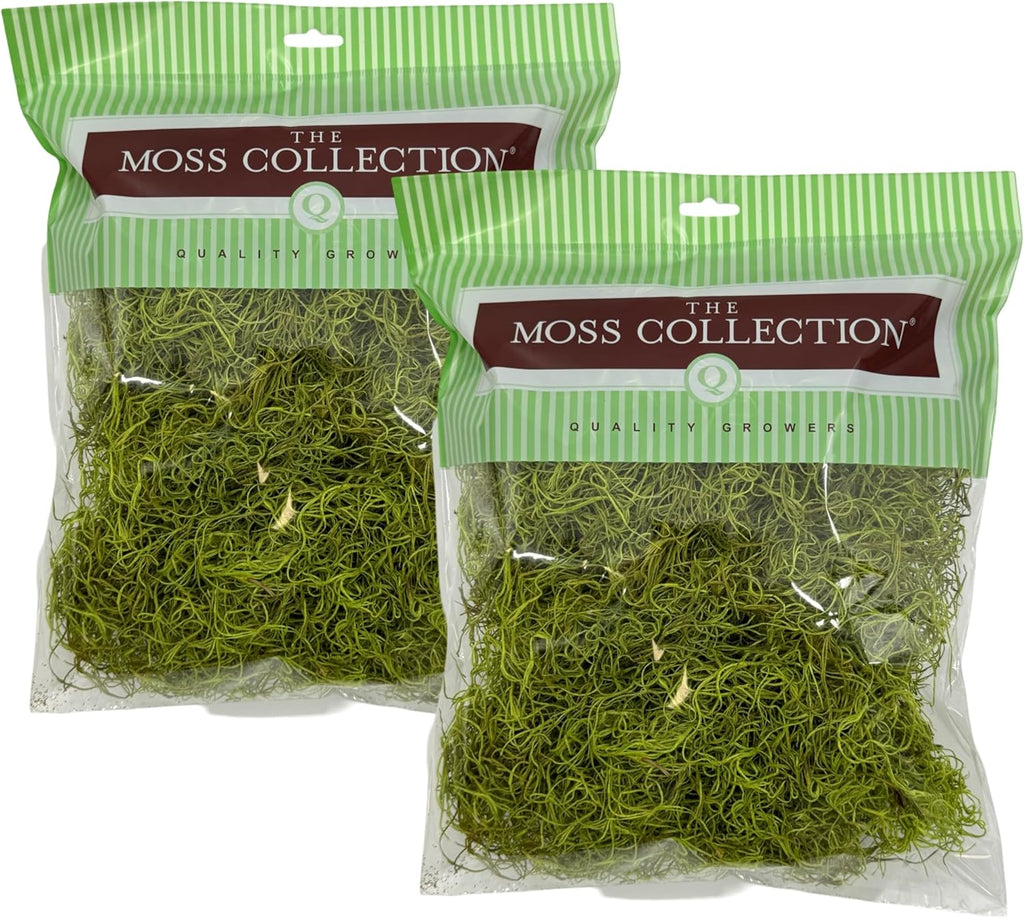 Preserved Spanish Moss - Premium Decorative Moss for Crafts, Home Décor, Art, Design & DIY Projects - Real Moss - Non-Toxic, USA-Made (Chartreuse, Medium, 2-Pack)