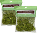 Preserved Spanish Moss - Premium Decorative Moss for Crafts, Home Décor, Art, Design & DIY Projects - Real Moss - Non-Toxic, USA-Made (Chartreuse, Medium, 2-Pack)