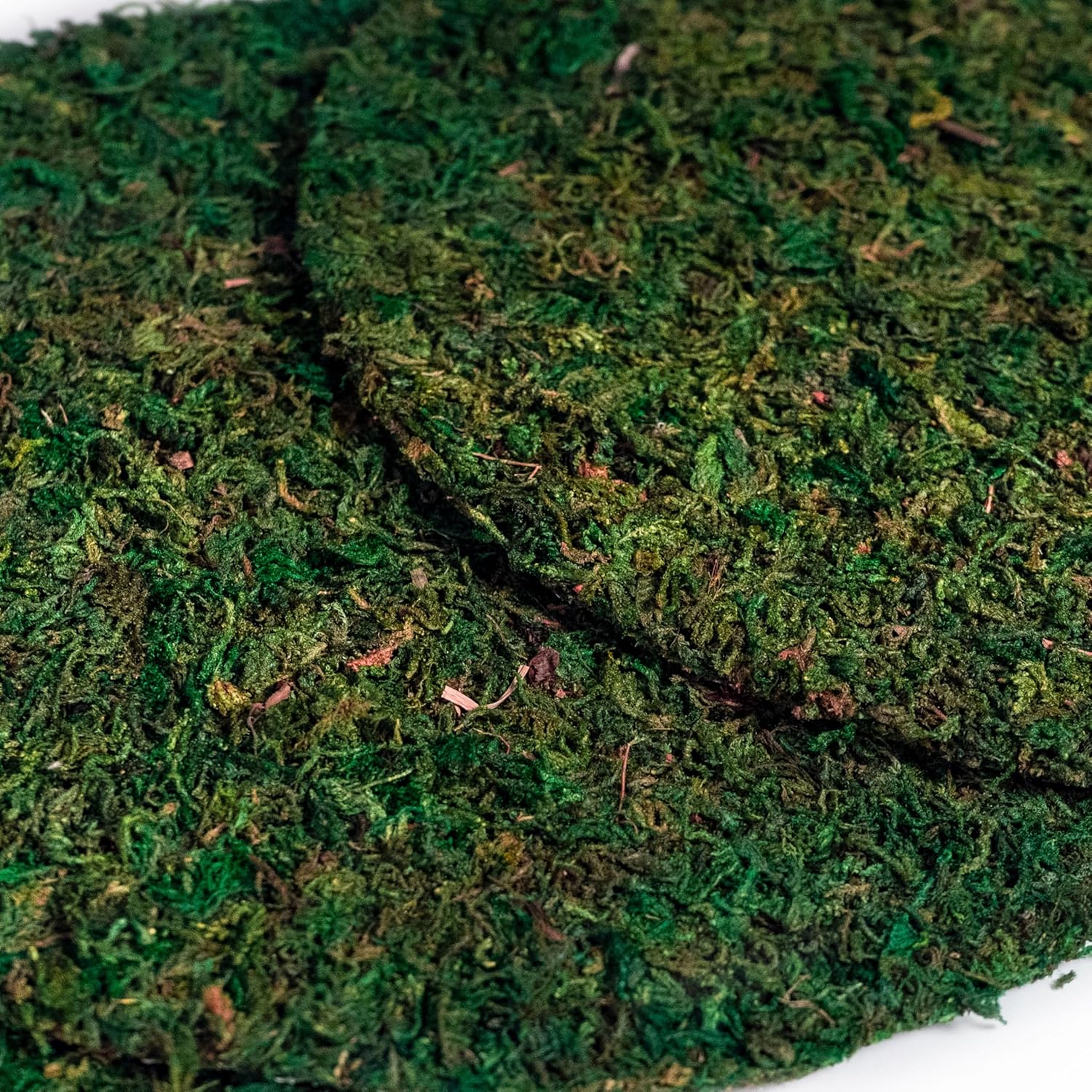 SuperMoss Topper Preserved Green Mountain Moss with Mesh Backing | Indoor Plant Cover for Flowerpots, Orchid Pots, Succulent Soil, Terrariums, and Craft Décor, 3 Count