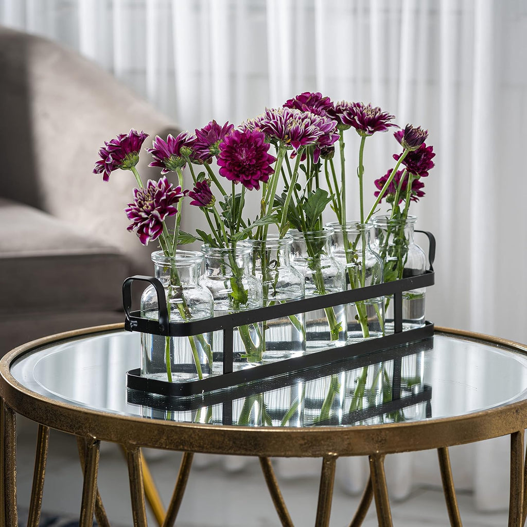 6pc Glass Flower Vase with Metal Holder, Best Vases Set for Home & Table Decor Flowers, Wedding Decorations, Kitchen, Bathroom, Bedroom, Modern Shelf Decor, Terrarium Arrangement