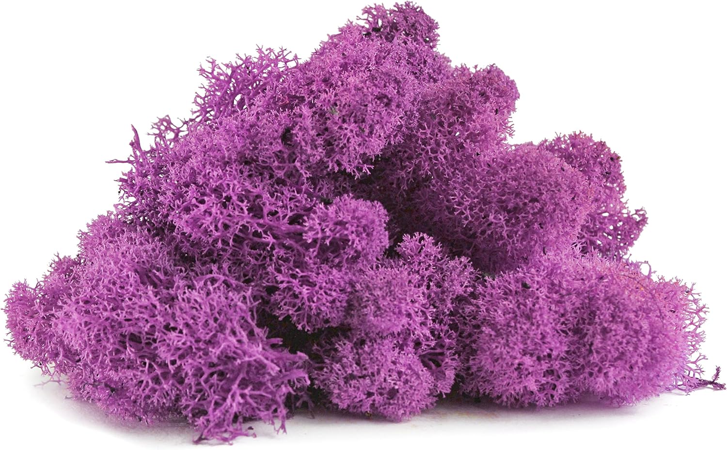 SuperMoss (23198) Reindeer Moss Preserved Bag, 2oz, Pink