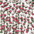 BLEUM CADE 8Pcs 65.6Ft Flower Garland Artificial Rose Vines for Bedroom, Cute Fake Hanging Flower Vines Floral Garland Decorations for Wedding Party Wall Room Decor Aesthetic