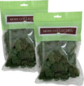 Quality Growers - Preserved Reindeer Moss - Moss for Crafts, Home Decor, Art, Design & DIY Projects - Non-Toxic - USA Made (Basil, Small, 2-Pack)
