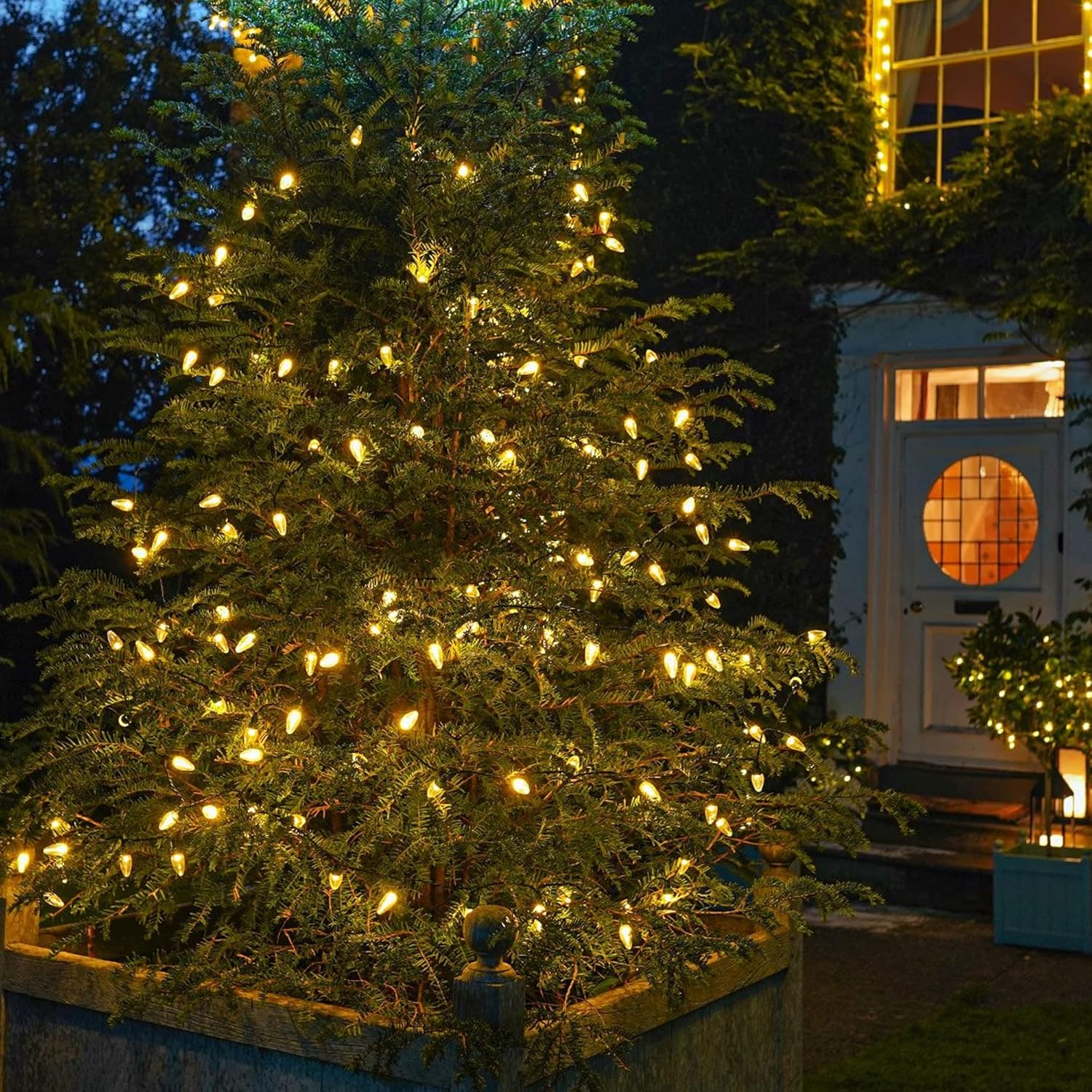 Dazzle Bright C9 Christmas Lights Outdoor, 50 LED 33ft Waterproof Green Wire String Lights, Indoor Outdoor Fairy Lights for Christmas Tree Xmas Yard Party Wedding House Decorations (Warm White)