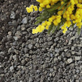 Lava Rocks for Plants (3/8’’ Minus), Natural Black Lava Rocks, Succulent & Terrarium Horticultural Volcanic Rock, Ideal Drainage for Potted Plants, Made in USA (3 qts - 4.8 lbs)