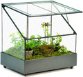 H Potter Terrarium Wardian Case Plant Container Succulent Planter Fairy Garden Display Case WAR153
