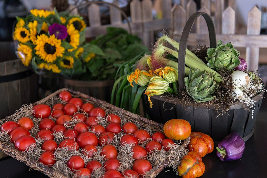 SuperMoss (26972) Spanish Moss Preserved, Coffee, 8oz (200 cubic inch)