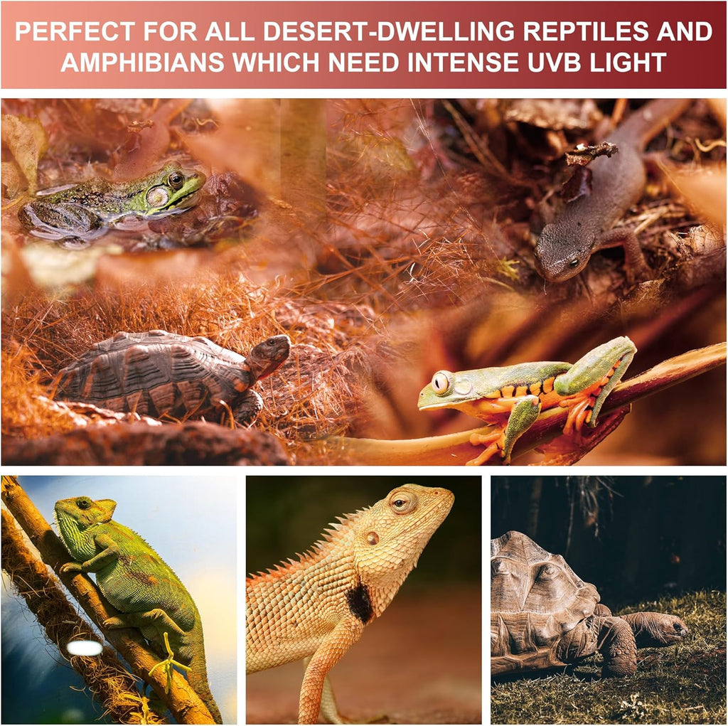 UVB Reptile Light Bulb 15.0, 23W UV Spiral Compact Florescent Terrarium Lamp Ideal for Desert Reptiles & Amphibians Frogs Tortoises Toads Chameleons - 2 Pack