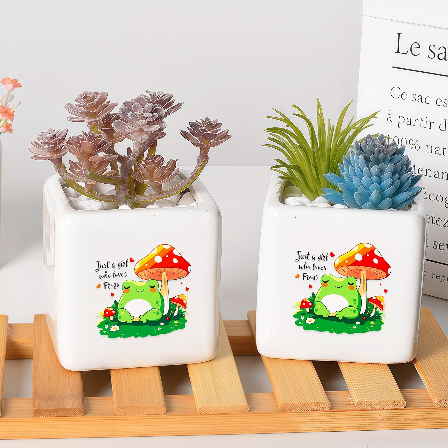 Frog Succulent Planter Flower Plant Pot Small, Gifts for Women Teens Girls Kids, Frog Lovers Themed Stuff Accessories Things Decor Merch, Home Office Table Desk Decoration!