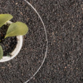 18lb Black Lava Rock for Plant, 1/8-1/4 inch Horticultural Volcanic Rock Soil for Decorative Landscaping Bonsai, Cacti, Succulents Plants Top Dressing for Release Excess Water