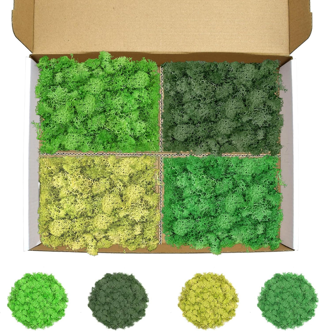Preserved Reindeer Moss 14 OZ 4 Colors for DIY Gift, Potted Plants,Craft Decor,Wall Art,Festive Home Decorative Christmas(Green, Dark Green, Yellow Green and Emerald Green, Each Color 3.5 OZ)