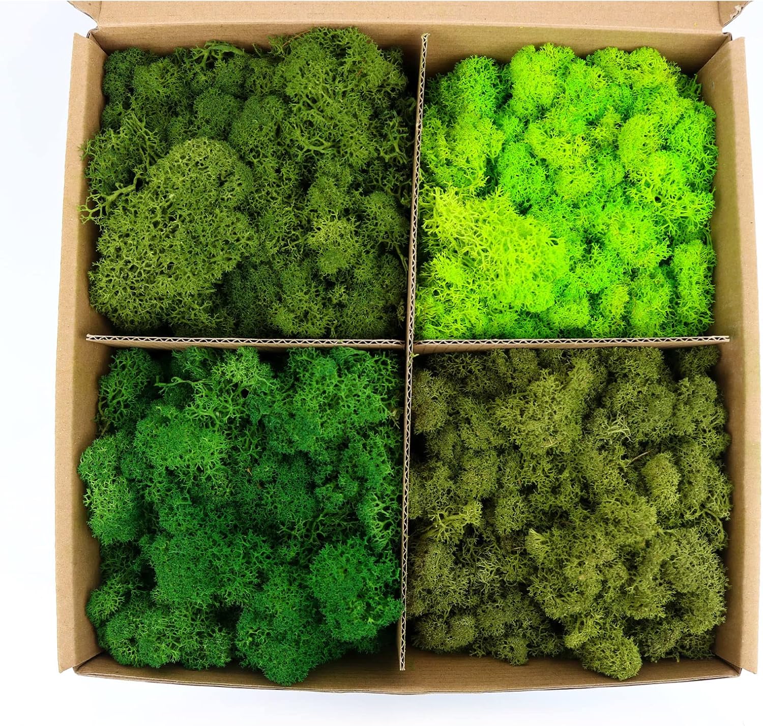 Amoueterno Preserved Moss 4 Color Reindeer Moss,Total 14OZ Each Color 3.5OZ, Natural Real Green Moss DIY Kit Moss Crafts Art Wall Decor Florist Decor Forest Green/Yellow Green/Leaves Green/Grass Gree
