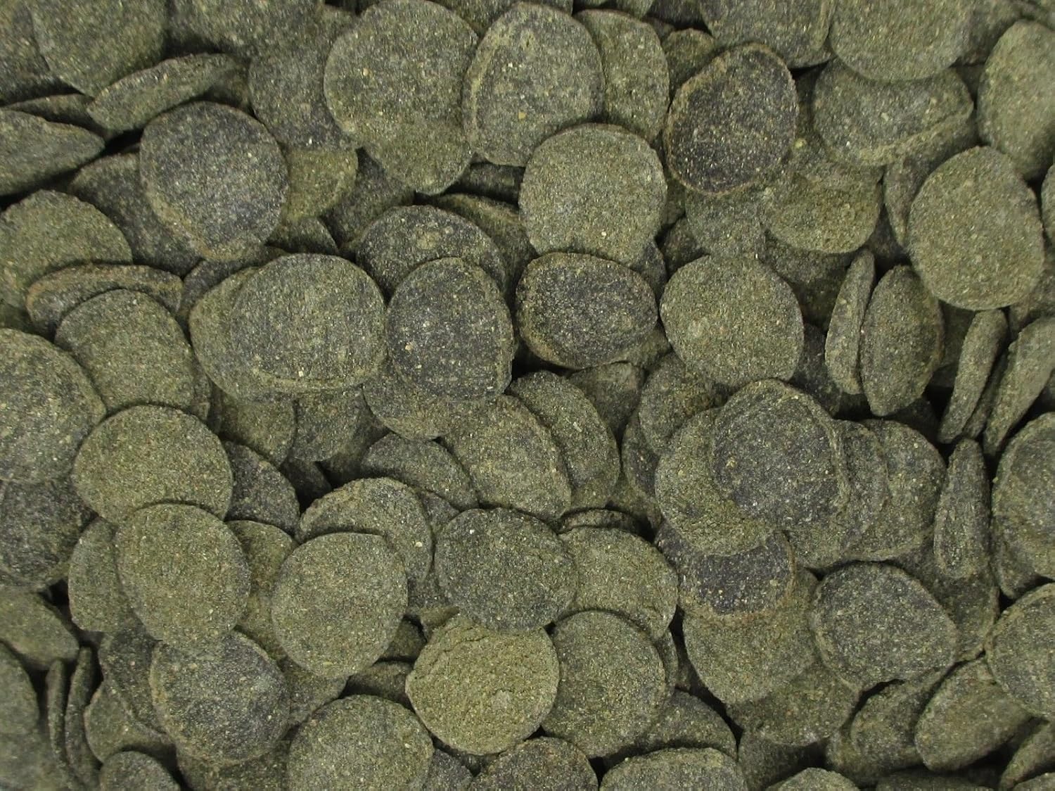 Mini Algae Discs - Sinking Diet for Snails, Shrimp & Bottom Feeding Fish (1.5oz (42,5g))