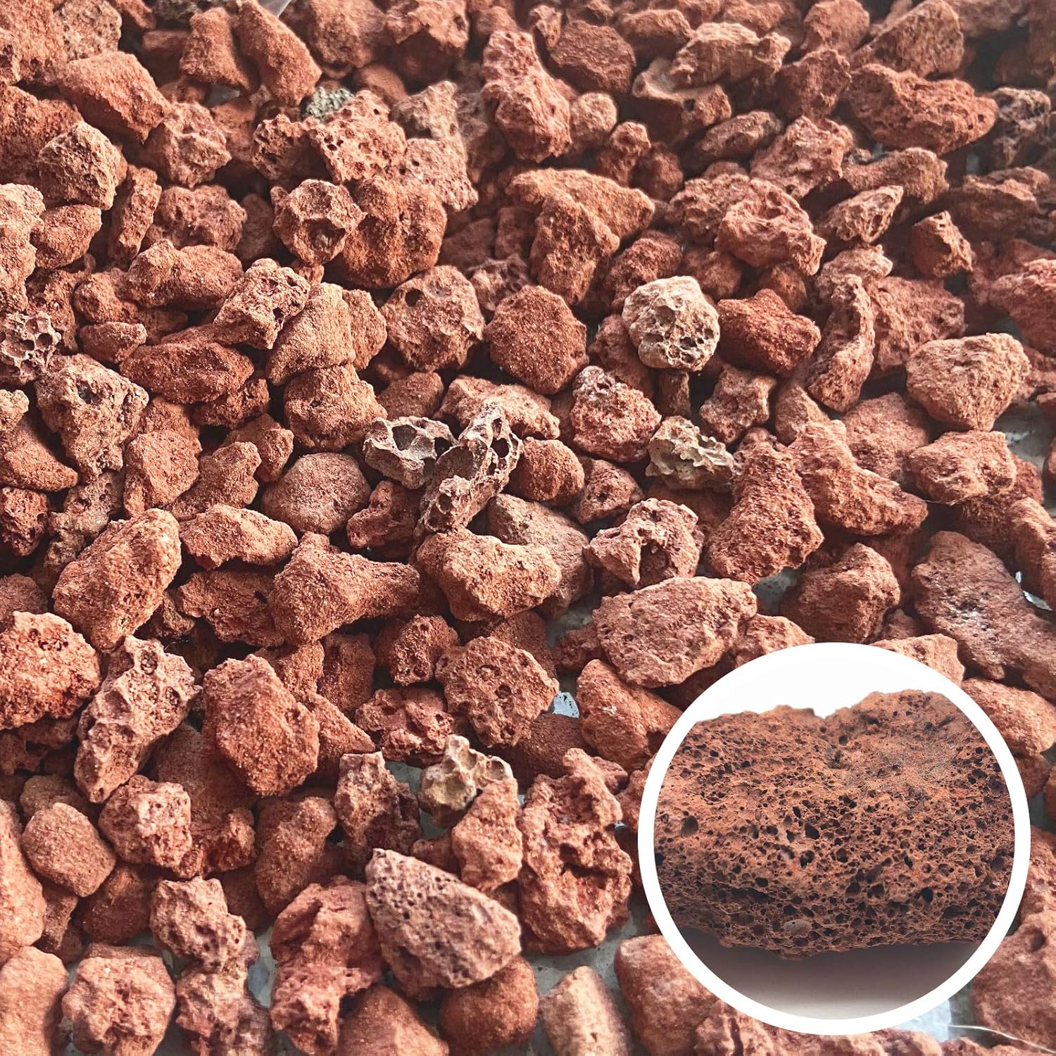 Red Lava Rocks for Plants -100% Pure Volcanic Rock No Dyes or Chemicals-Best Lava Stones Top Dressing for Cacti Succulents Plants,Bonsai-5LBS