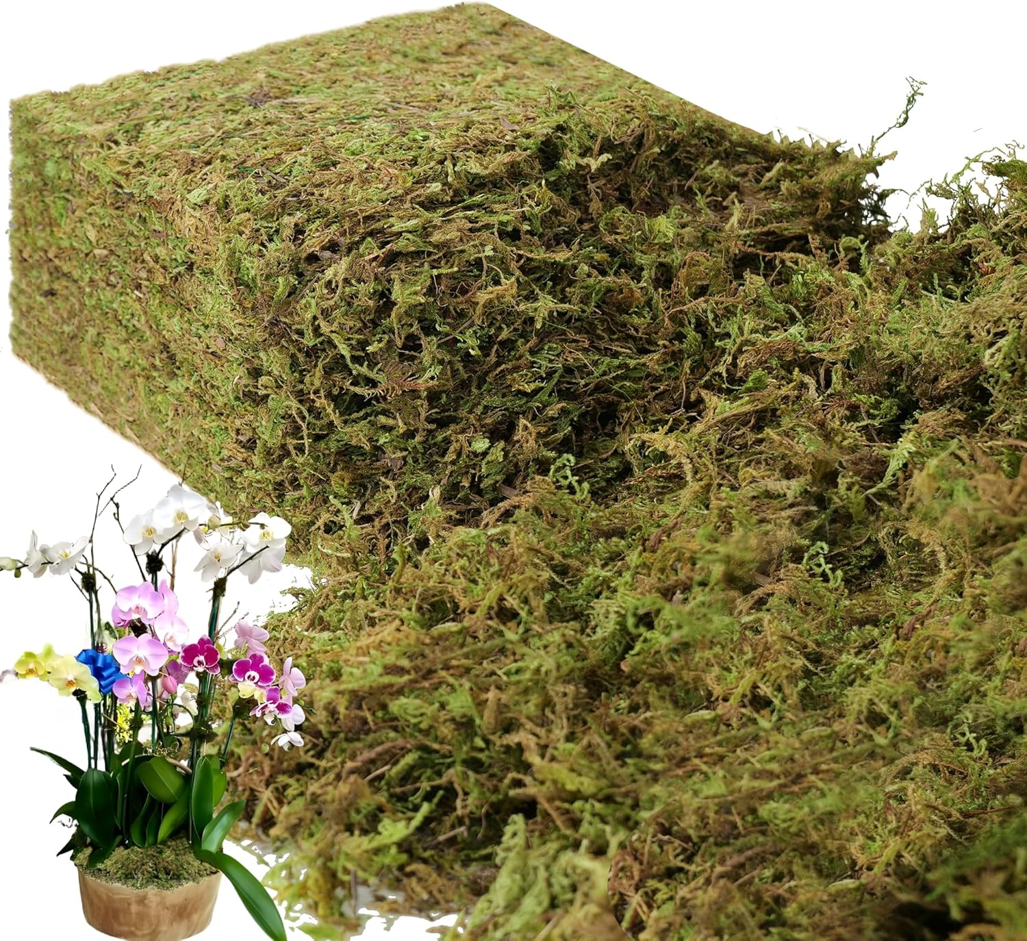 BYHER 35 OZ Large Capacity Fake Moss for Plants Indoor, Fresh Green Moss for Potted Plants Craft Moss for Home & Office Decor Fairy Garden Decoration (Fresh Green - 992gr)