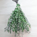 3kinds Natural Eucalyptus Stems 24PCS - 17inch Eucalyptus Set for Shower Bundle Real Eucalyptus Leaves Branches Vase Filler, Dried Flowers Arrangement Home Decor Wedding Decor