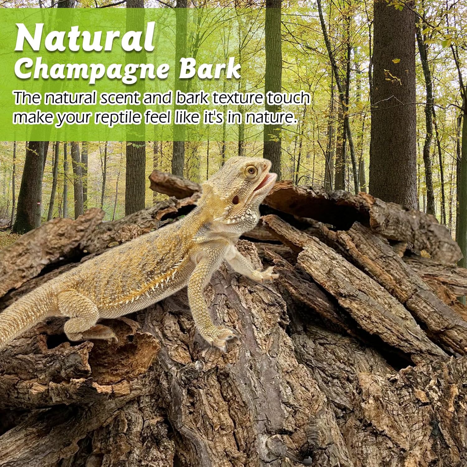 Reptile Cork Bark 1Lb Flat Cork Wood for Terrarium Small Tree Bark Pieces 3.9-5.9in Natural Bulk Cork Bedding Tank Substrate for Bearded Dragon Snake Spiders Geckos Tortoise Hermit Crabs