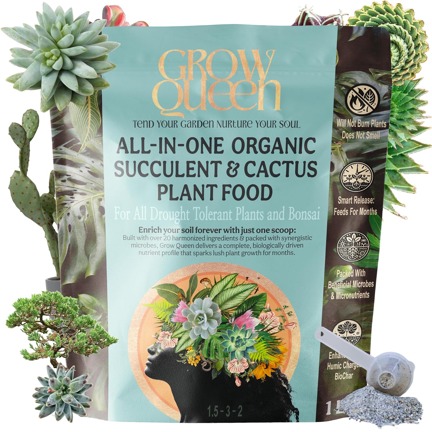 All-In-One Organic Succulent Fertilizer, Cactus Fertilizer, Succulent Plant Food, Bonsai & Cactus Food, 1lb bag = 25 Single Servings, Fast & Slow Release feeds up to 100 plants for 8 months
