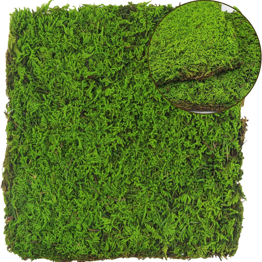 2 Pcs Preserved Sheet Moss for Potted Plants 2 sq.ft. Dried Natural Preserved Mat Green Moss Sheets for Planters Crafts Woodland Decor Garden Party Wall Art DIY Project Light Green