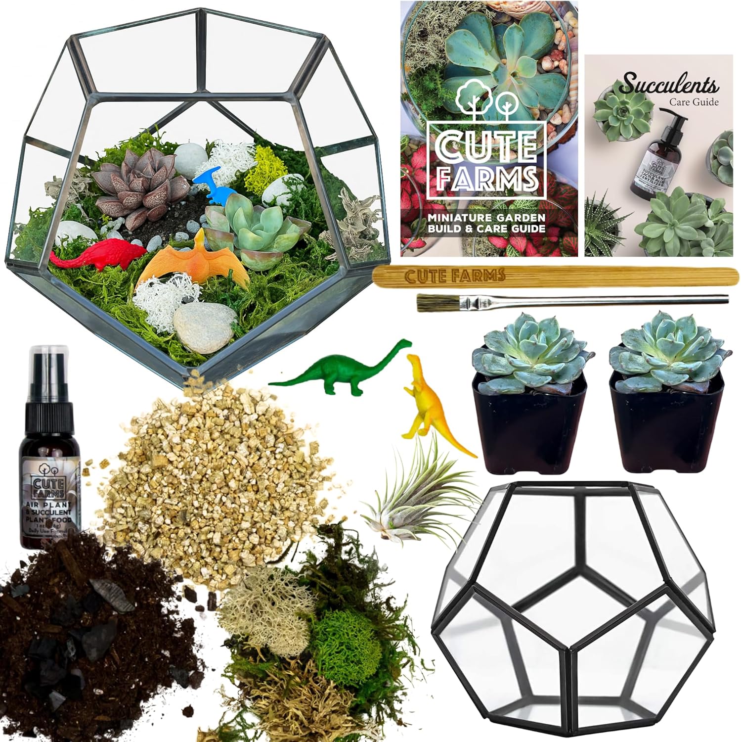 Cute Farms Glass Terrarium Kit | Just Add Your Own Plants (Geometric Glass + Live Plants)