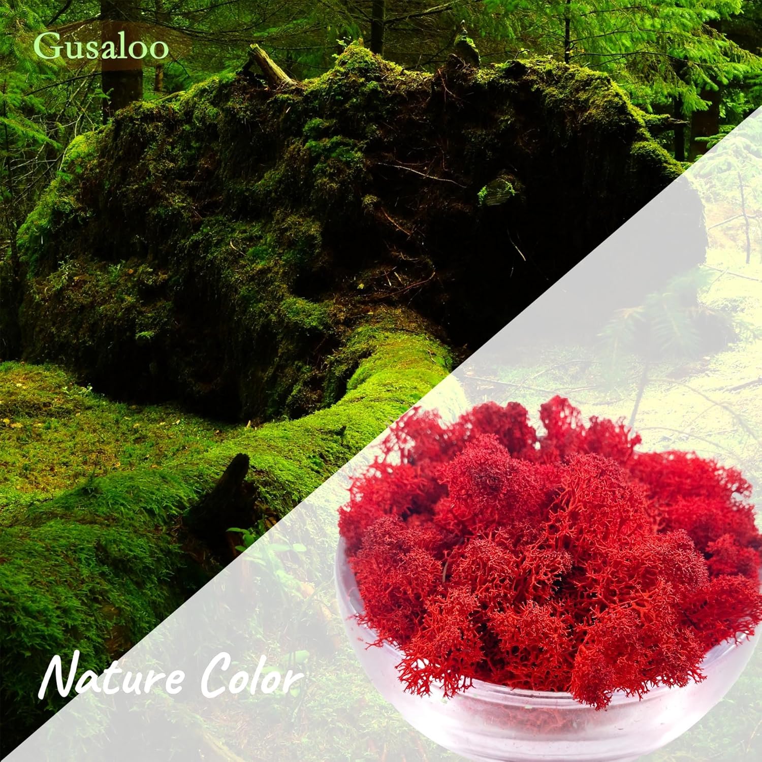 Moss Preserved Moss for Potted Plants Natural Fresh Green Reindeer Moss for Craft Arts Floral Wall Decor Decor Wedding Centerpieces Garden Artificial Terrariums Decoration for Christmas - Red 3.52OZ