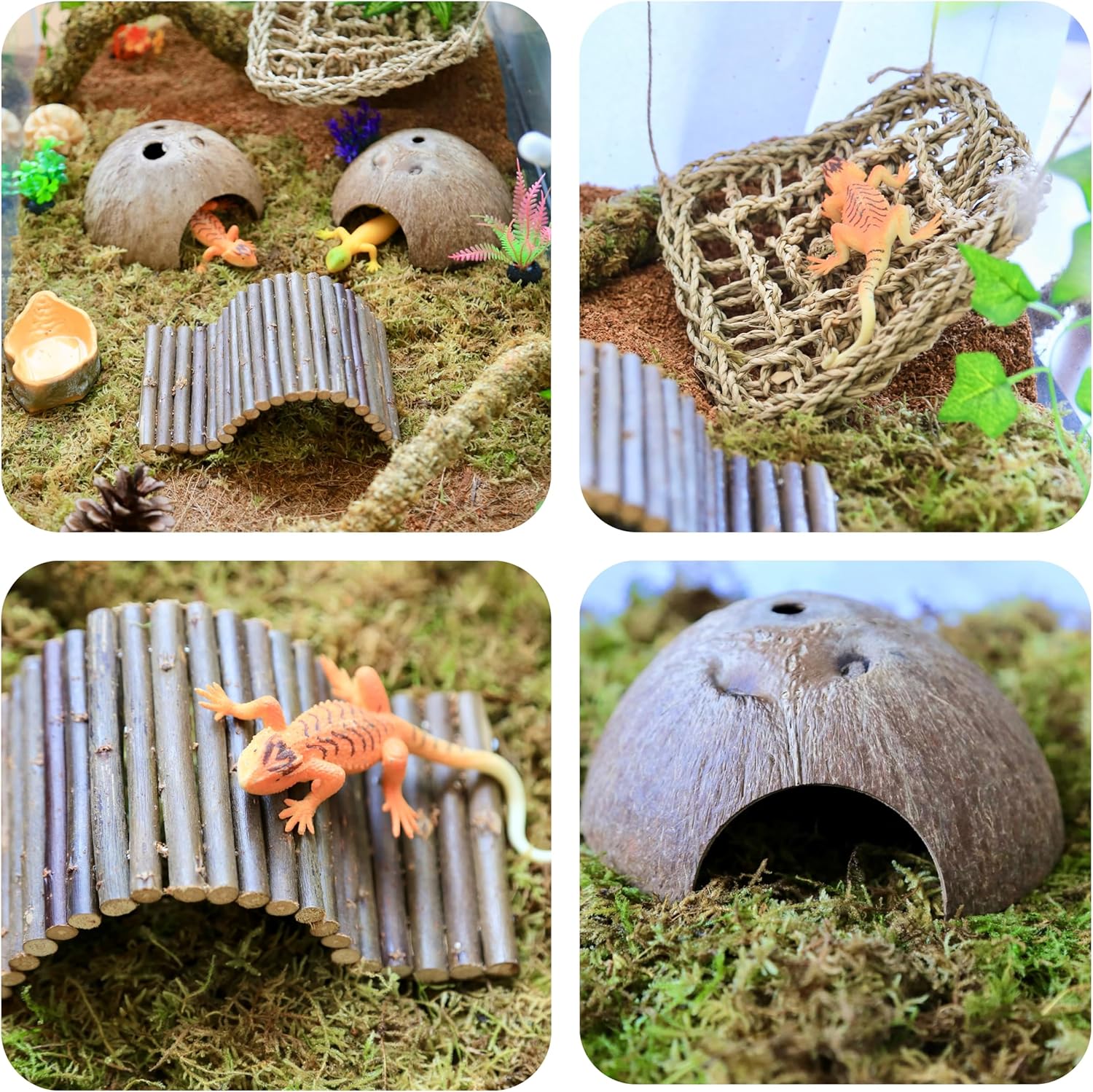 Hermit Crab Accessories – 6PCS Natural Hermit Crab Toys Climbing Bridge, Shells, Coconut Hideout, Moss and Plants for Hermit Crabs Habitat & Reptile Tank Decor