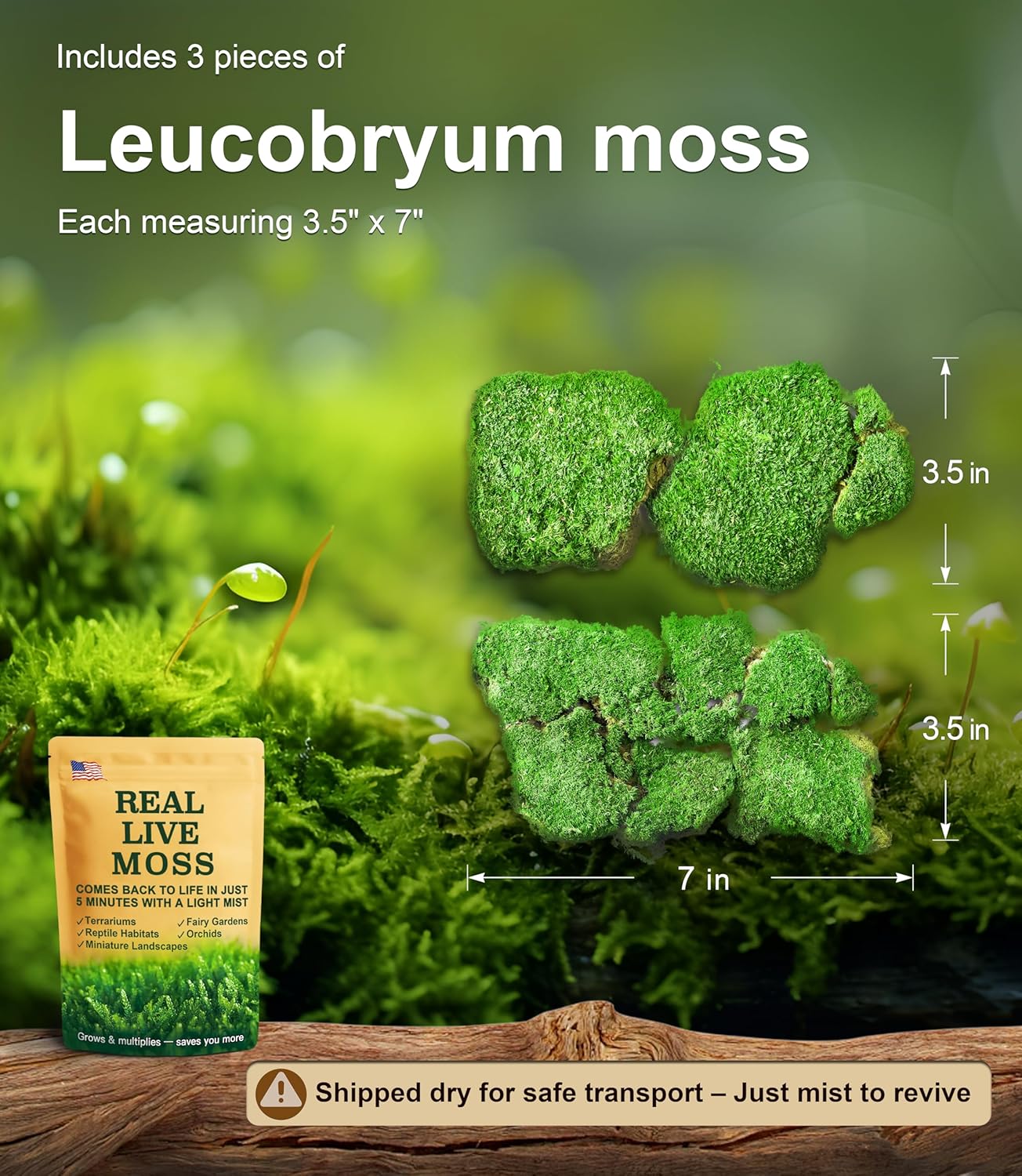 Fresh Real Live Moss Variety Pack for Orchids & Mini Landscapes DIY Terrariums, Bonsai, Reptile Habitats & Potted Plants | Revives Quickly with Mist, Soft Green Texture (Whole 8"x8" Leucobryum Moss)