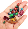 PEPPERLONELY Extra Small Mixed Dyed Assorted Colors Seashells, Very Small & Clean, 6 OZ Apprx.1600+ PC Shells, 1/4 Inch ~ 3/4 Inch