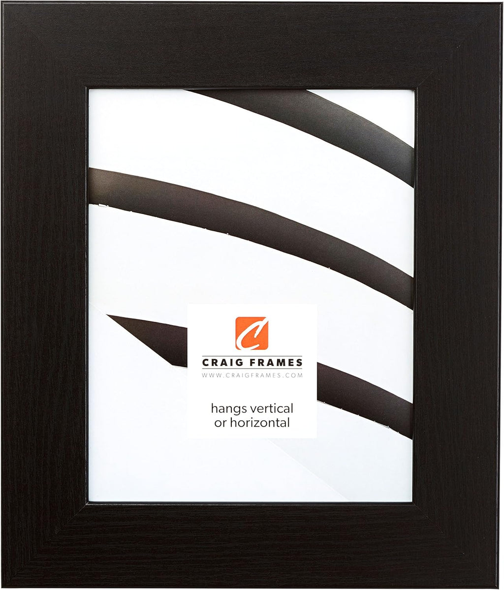 Craig Frames Bauhaus 200, 20x24 Picture Frame, Black Oak