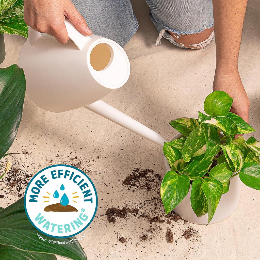 Back to The Roots 100% Organic Indoor Potting Mix (6 Quart), Promotes Healthy Houseplant Growth, Made in The USA