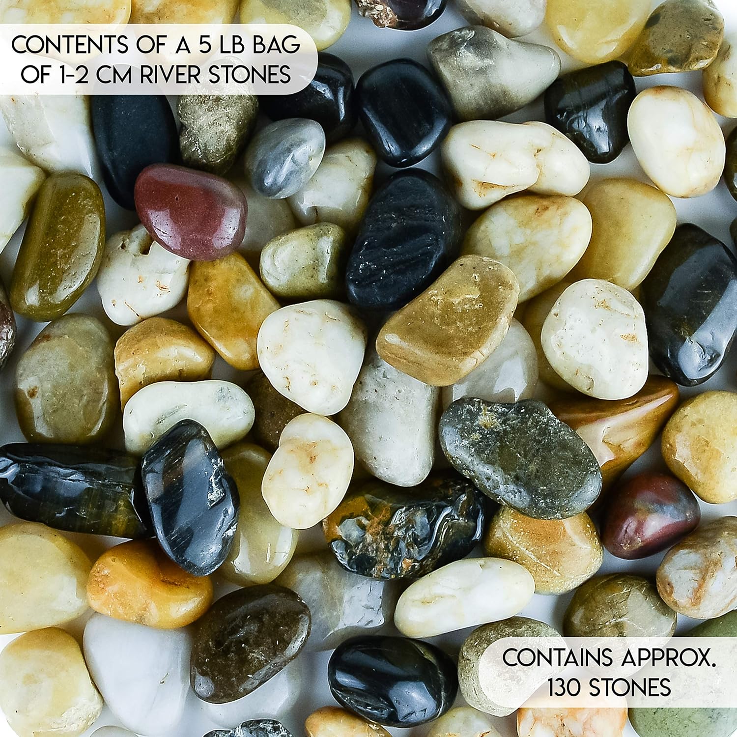 5 lbs Approx. 130 River Rocks Stones for Plants Pebbles for Indoor Plants | Aquarium Fish Tank Rocks | Polished Decorative Rocks for Vases (0.8-1.6 Inches)