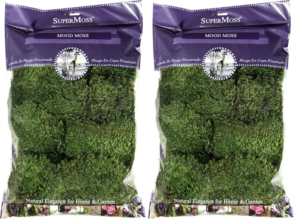 Super Moss Mood Moss Preserved Natural Green 1200cuin, Fresh Green, 200 in3 Bag (Appx. 8oz) (21539) (Pack of 2)