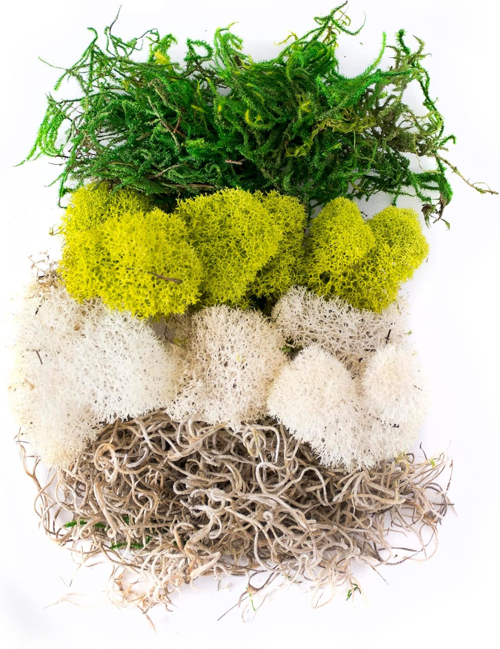 SuperMoss (23301) Moss Mix – Premium Decorative Moss for Crafts, Terrariums, Wedding & Table Décor, 80.75 Cubic inches (Approx. 2 oz), Carolina