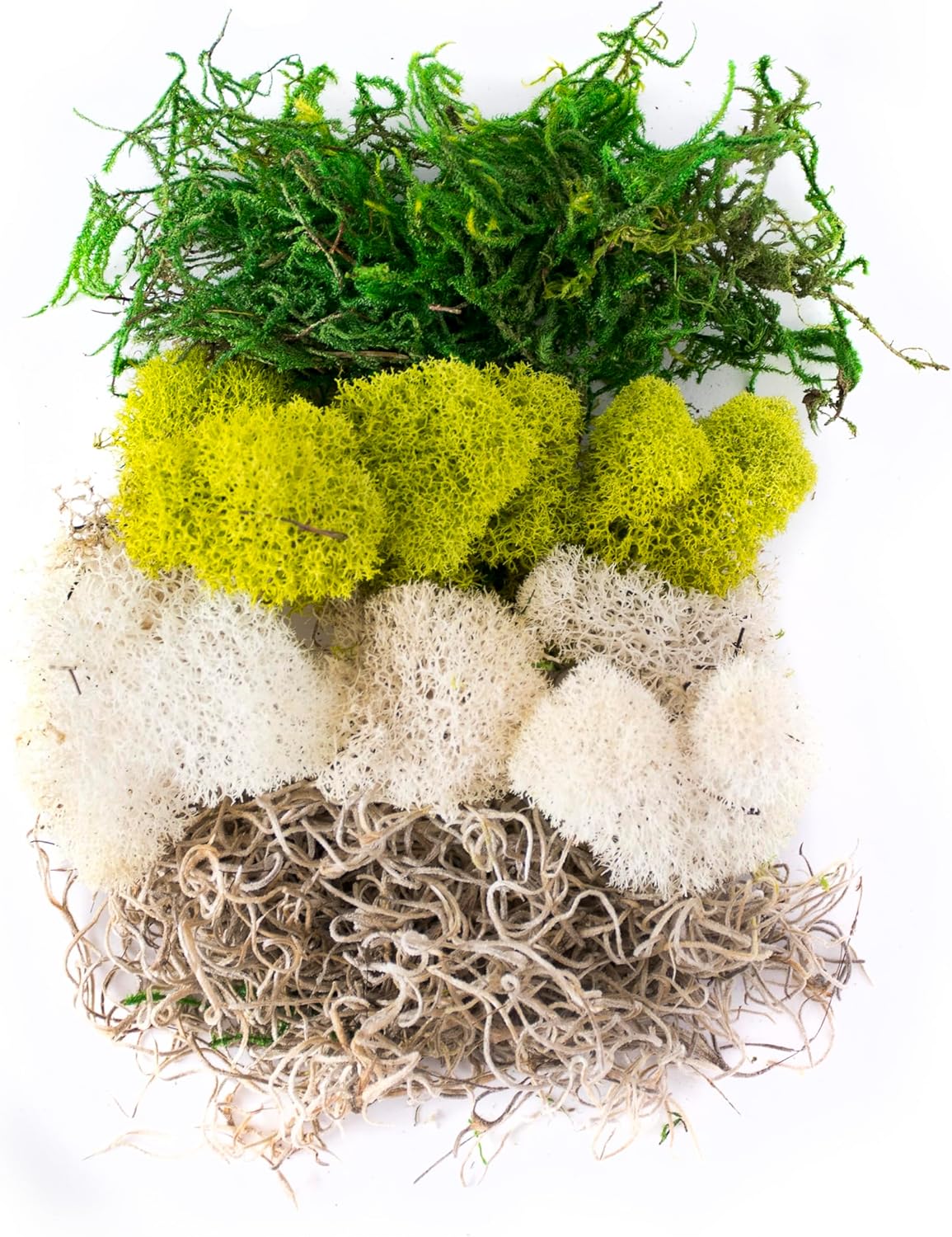 SuperMoss (23301) Moss Mix – Premium Decorative Moss for Crafts, Terrariums, Wedding & Table Décor, 80.75 Cubic inches (Approx. 2 oz), Carolina